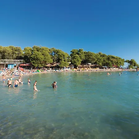 Pet Friendly In * Polaca